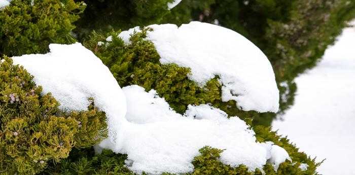 冬天梦见下雪是什么意思