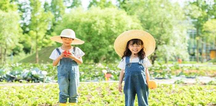 梦见两个小孩一男一女