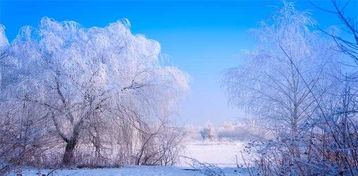 梦见雪花飘是什么征兆