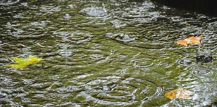 女人梦见下雨路上全是水