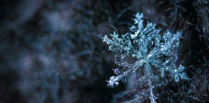 梦见下大雪了