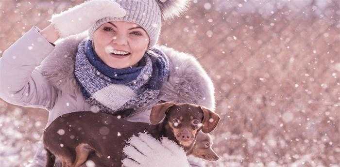 梦见雪花飘是什么征兆