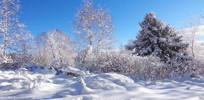 冬天梦见下雪是什么意思