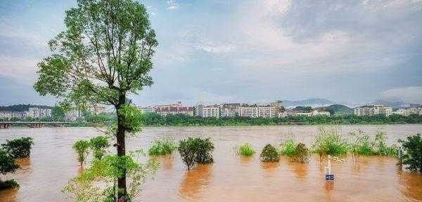 梦见大水挡住我的去路是寓意