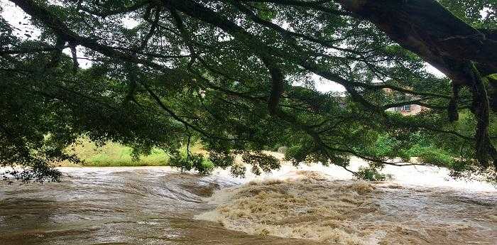 梦见下雨涨水是什么意思