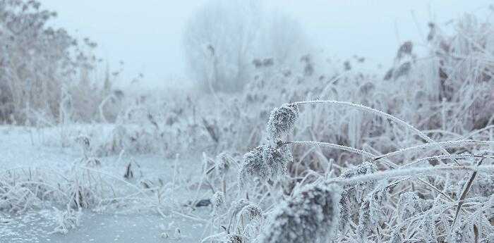 梦见大雪