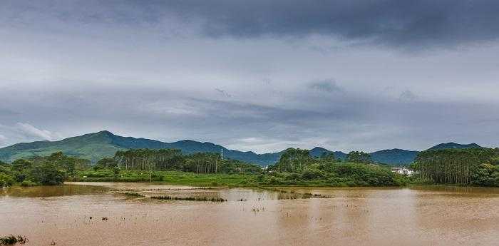 梦见发大水水很浑很黄