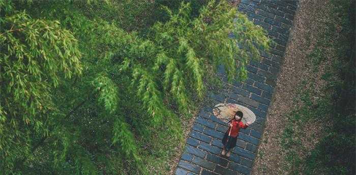 梦见自己冒着大雨前行