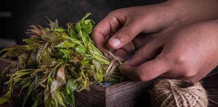 梦到和别人一起挖野菜