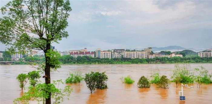 梦见别人溺水死了是什么预兆