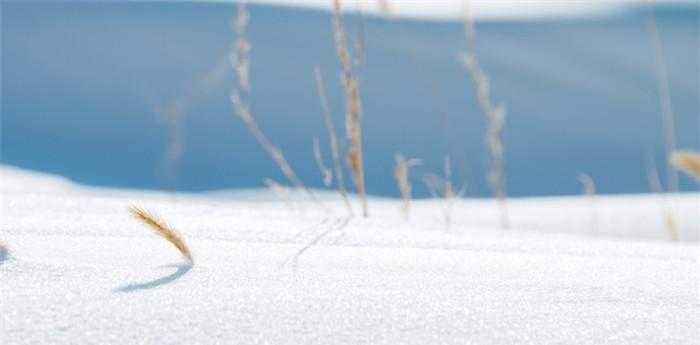 梦见下雪就会死人