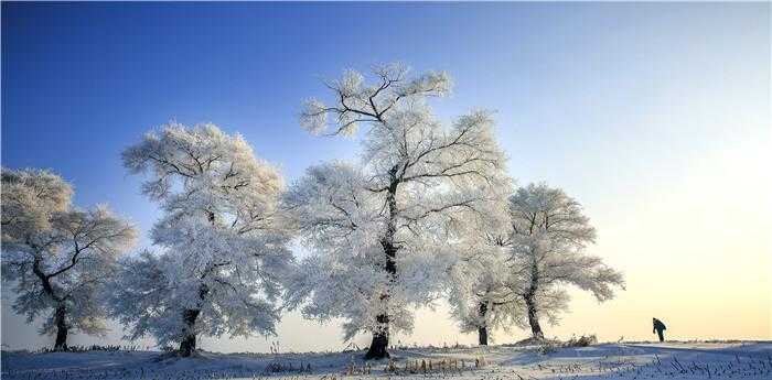 梦见在厚厚的雪里行走