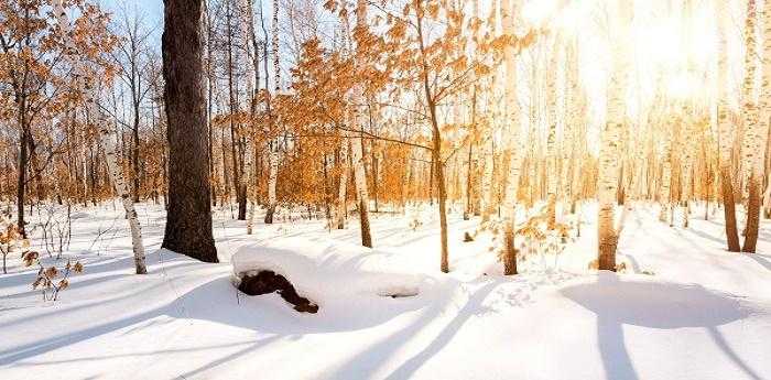 梦见积雪很厚是什么征兆