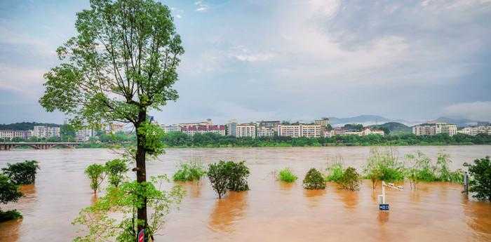 梦见涨大水预示什么周公解梦