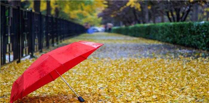 梦见好几把收拢的雨伞