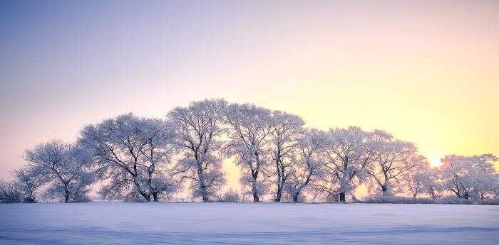 梦见太阳照在雪上