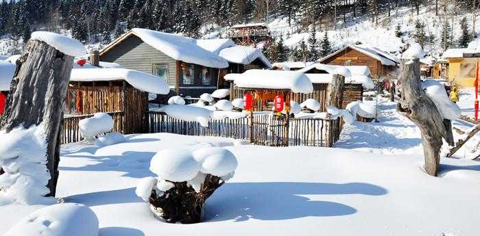 梦见单位有好多的雪