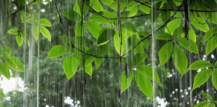 梦到刮风下雨很大是什么意思