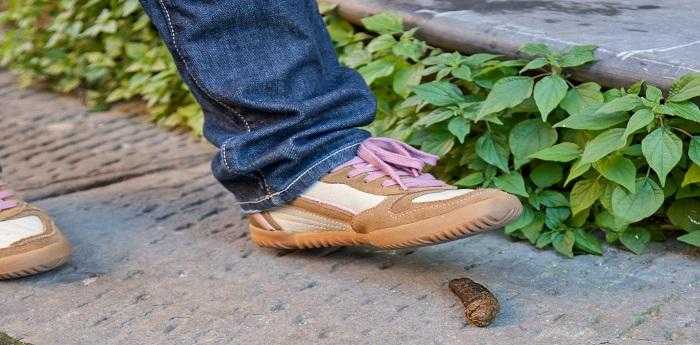 梦见好多粪便是什么意思