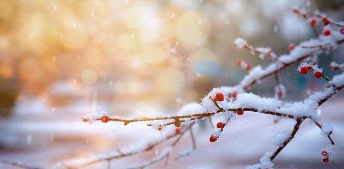 梦见下大雪白茫茫一片是什么预示