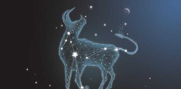 518什么星座是什么星座