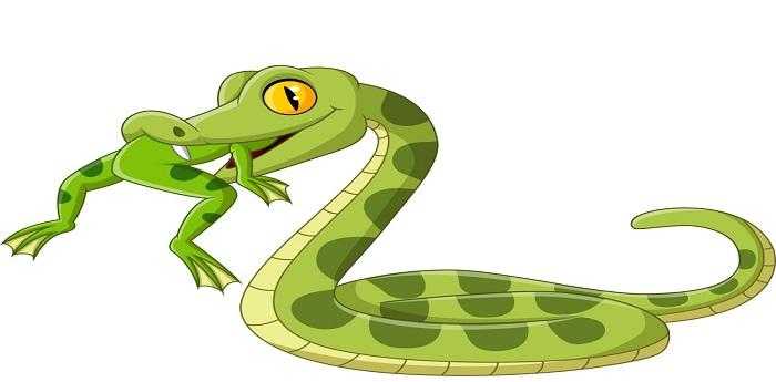 男人做梦梦到蛇是什么意思