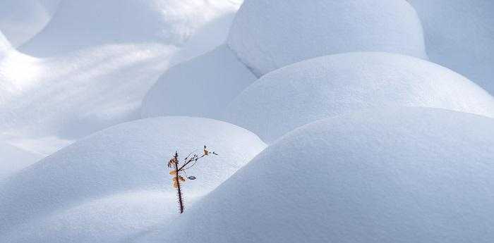 梦见大暴雪月亮掉下来了是什么意思