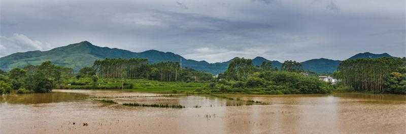 梦见涨大水是什么意思