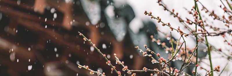 做梦梦到下雪是什么征兆