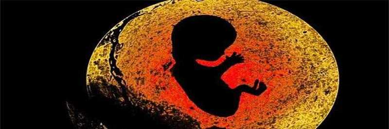 梦境的纠葛，怀孕、打胎与未竟的悔意