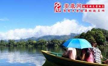 50岁到60岁梦到猫