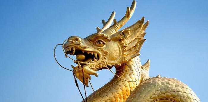 梦见龙向我扑来是什么预兆