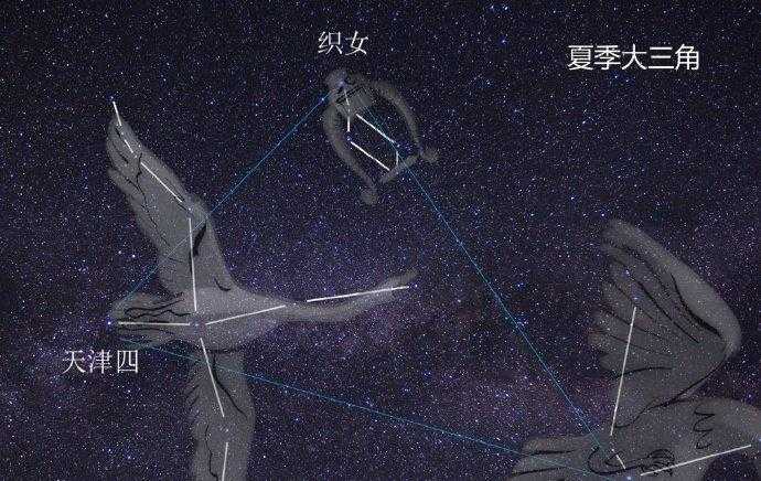 天文学中牛郎星属于哪个星座