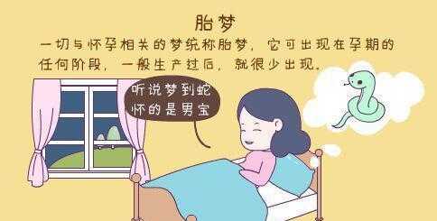 女人梦见蛇是怀孕了吗