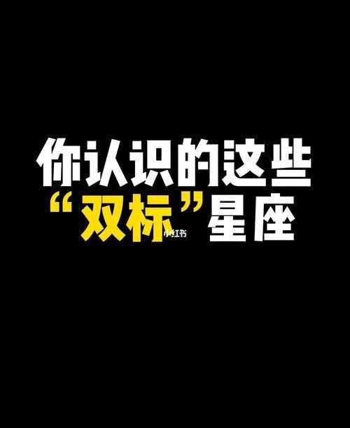 双子座的双标 