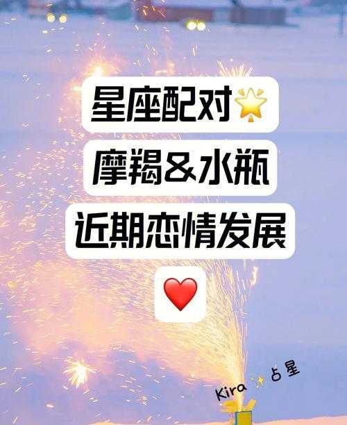 摩羯座和水瓶星座 