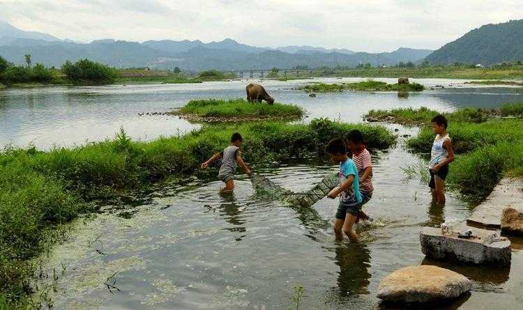 梦见大鱼挡道大鱼追