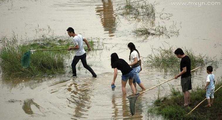 女人梦里抓活鱼