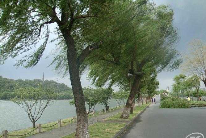 已婚女人梦见大风大雨