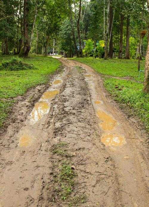 梦见下大雨道路泥泞不堪怎么解释