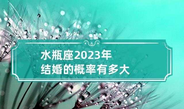 水瓶座适合几月份结婚 