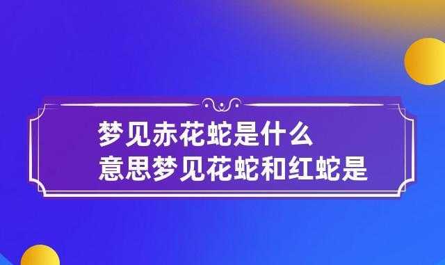 梦见两条大花蛇是什么预示