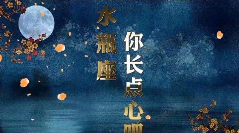 水瓶座追星 