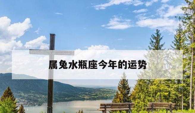 属兔水瓶座性格分析 