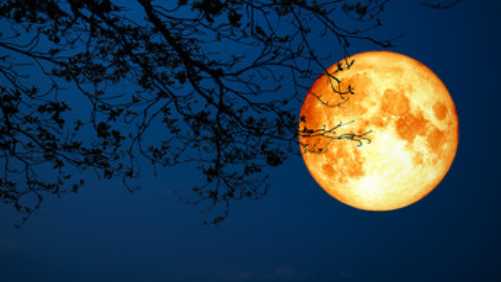 梦见月亮很亮是什么预示